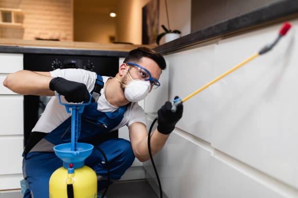 Best Mosquito Control Services  in Elkhorn, WI