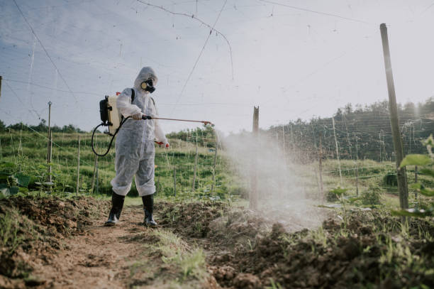 Best Best Pest Control Companies  in Elkhorn, WI