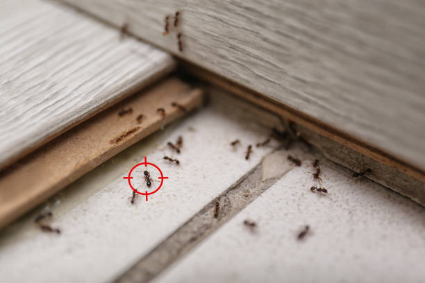 Best Exterminator Services  in Elkhorn, WI