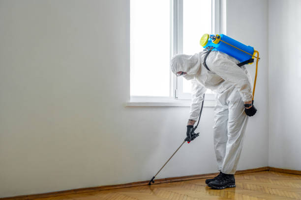 Best Commercial Pest Control Services  in Elkhorn, WI