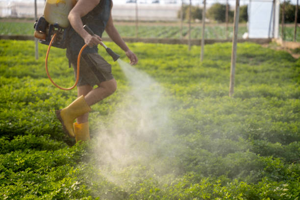 Best Residential Pest Control  in Elkhorn, WI