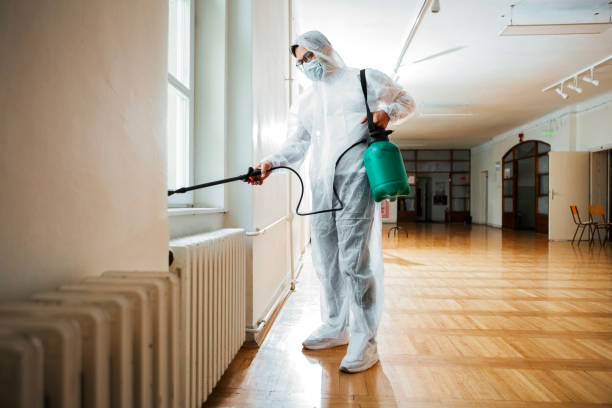 Best Wasp Removal Services  in Elkhorn, WI