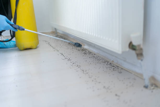 Best Pest Prevention Services  in Elkhorn, WI