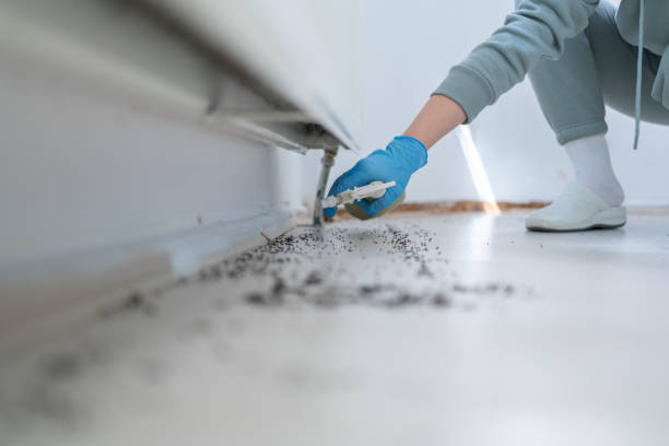 Best Affordable Pest Control Services  in Elkhorn, WI